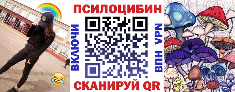 гидра маркетплейс  Белая Холуница  Псилоцибиновые грибы мицелий 